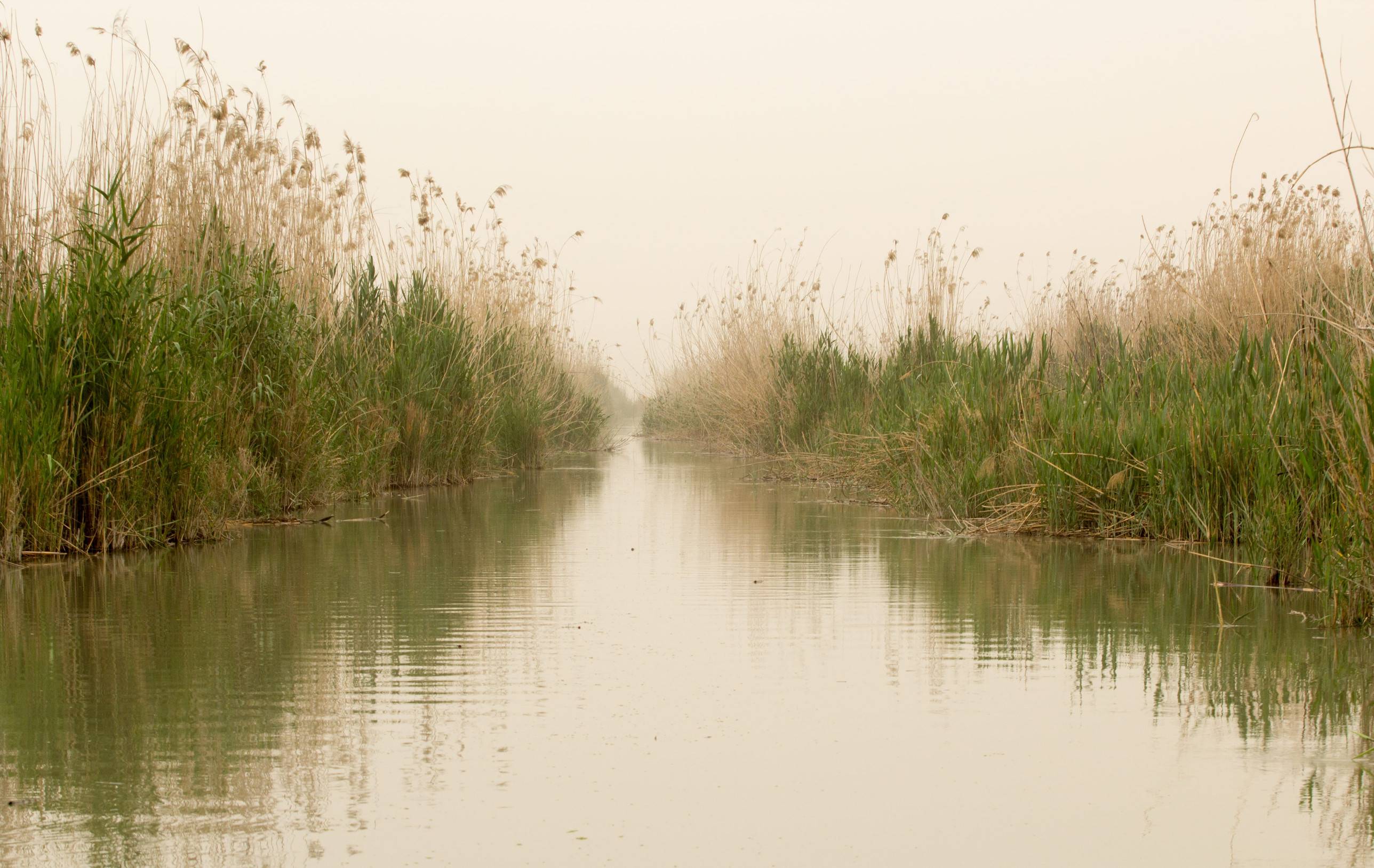 The Mesopotamian Marshes of Iraq Travel Guide