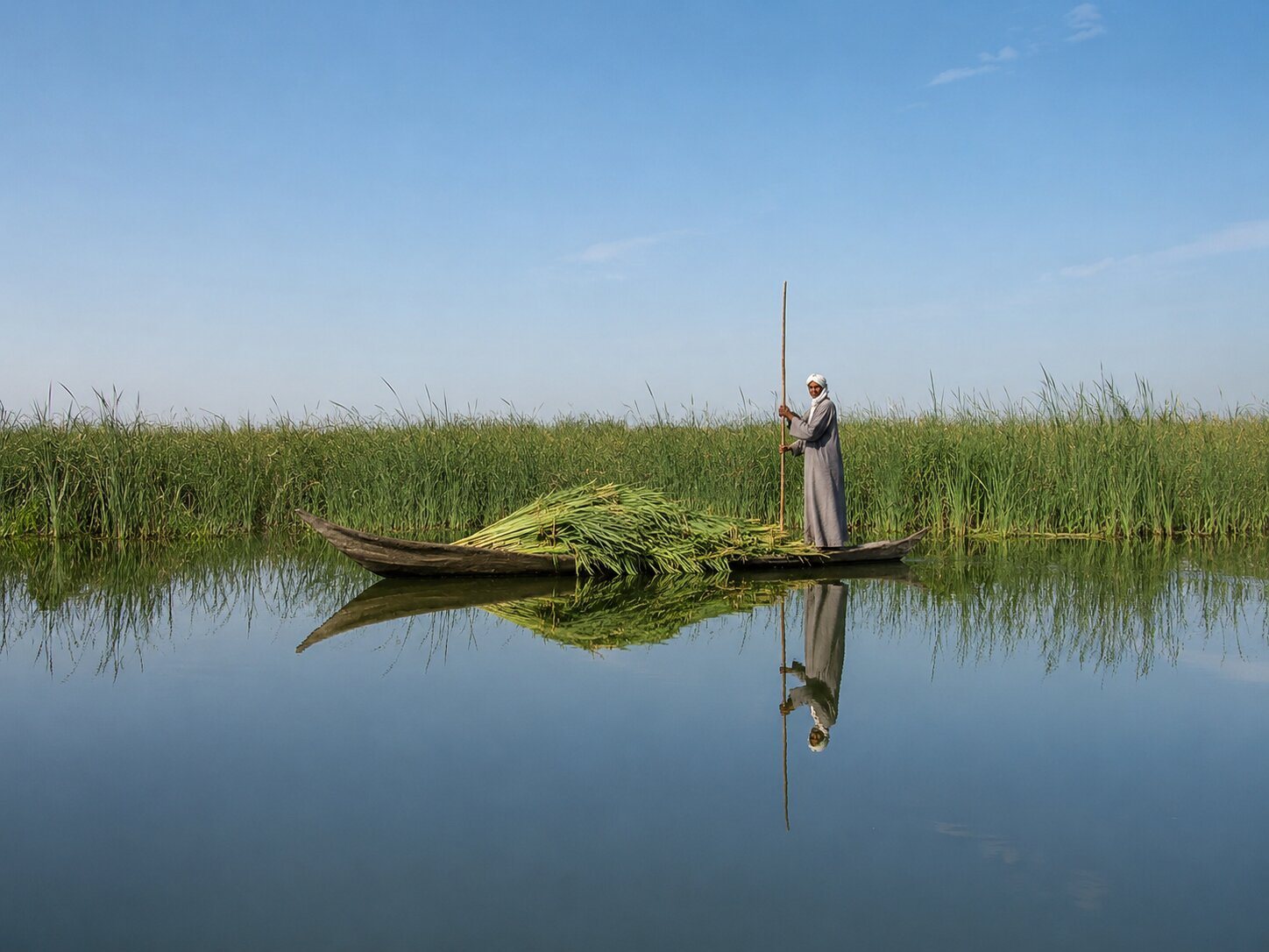 Mesopotamian Marshland In Iraq